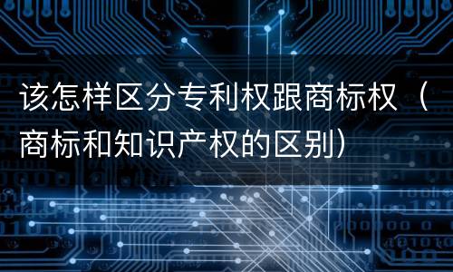 该怎样区分专利权跟商标权（商标和知识产权的区别）