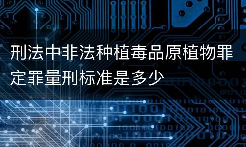刑法中非法种植毒品原植物罪定罪量刑标准是多少