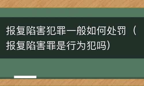 报复陷害犯罪一般如何处罚（报复陷害罪是行为犯吗）