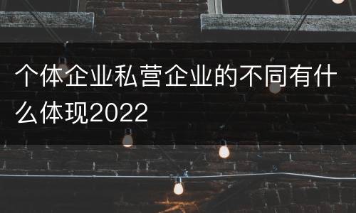 个体企业私营企业的不同有什么体现2022