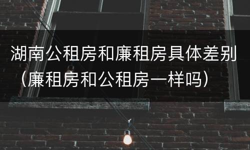 湖南公租房和廉租房具体差别（廉租房和公租房一样吗）