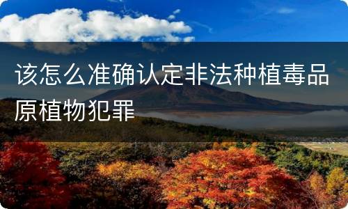 该怎么准确认定非法种植毒品原植物犯罪