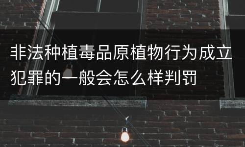 非法种植毒品原植物行为成立犯罪的一般会怎么样判罚
