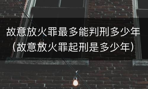故意放火罪最多能判刑多少年（故意放火罪起刑是多少年）
