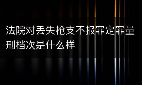 法院对丢失枪支不报罪定罪量刑档次是什么样