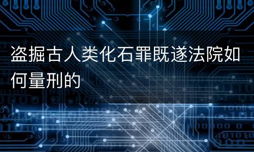 盗掘古人类化石罪既遂法院如何量刑的