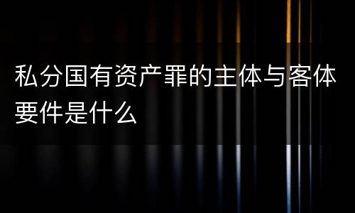 私分国有资产罪的主体与客体要件是什么