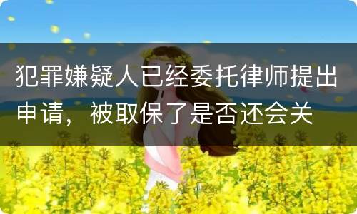 犯罪嫌疑人已经委托律师提出申请，被取保了是否还会关