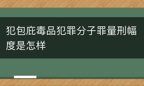犯包庇毒品犯罪分子罪量刑幅度是怎样