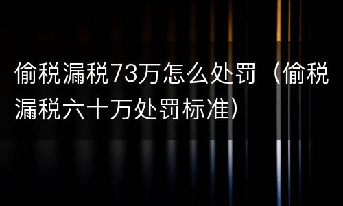 偷税漏税73万怎么处罚（偷税漏税六十万处罚标准）