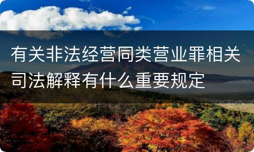 有关非法经营同类营业罪相关司法解释有什么重要规定