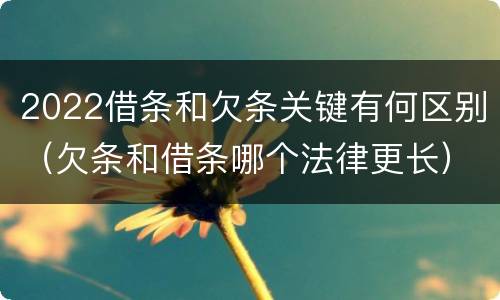 2022借条和欠条关键有何区别（欠条和借条哪个法律更长）