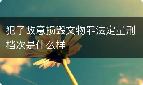 犯了故意损毁文物罪法定量刑档次是什么样