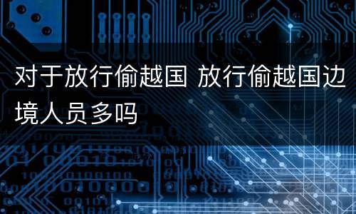 对于放行偷越国 放行偷越国边境人员多吗