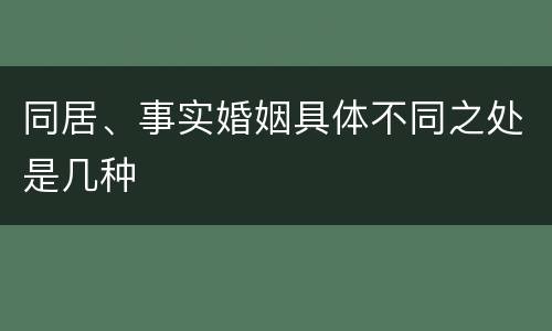 同居、事实婚姻具体不同之处是几种