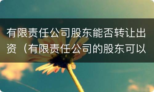 有限责任公司股东能否转让出资（有限责任公司的股东可以自由转让）