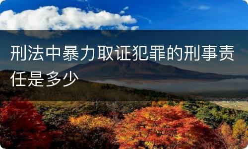 刑法中暴力取证犯罪的刑事责任是多少