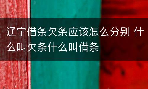 辽宁借条欠条应该怎么分别 什么叫欠条什么叫借条