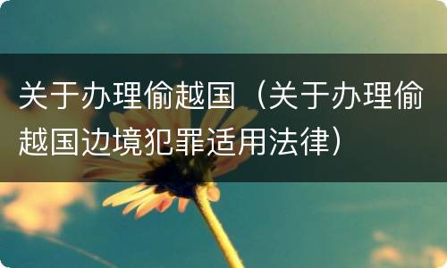 关于办理偷越国（关于办理偷越国边境犯罪适用法律）