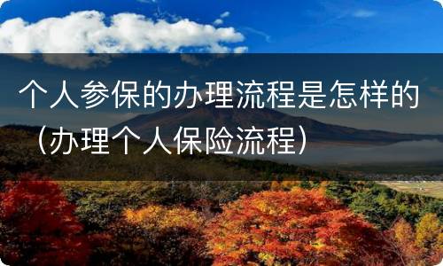 个人参保的办理流程是怎样的（办理个人保险流程）