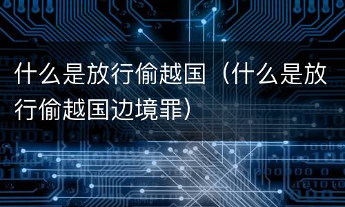 什么是放行偷越国（什么是放行偷越国边境罪）