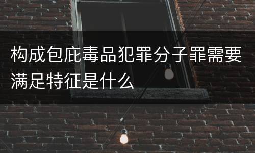 构成包庇毒品犯罪分子罪需要满足特征是什么