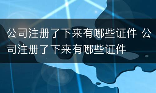 公司注册了下来有哪些证件 公司注册了下来有哪些证件