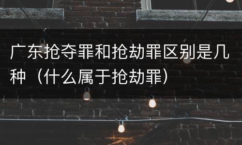 广东抢夺罪和抢劫罪区别是几种（什么属于抢劫罪）
