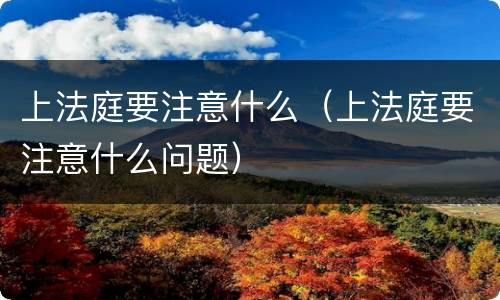 上法庭要注意什么（上法庭要注意什么问题）