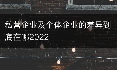 私营企业及个体企业的差异到底在哪2022