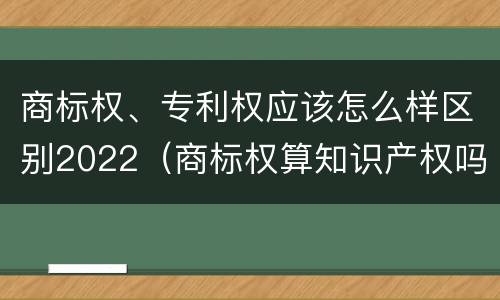商标权、专利权应该怎么样区别2022（商标权算知识产权吗）