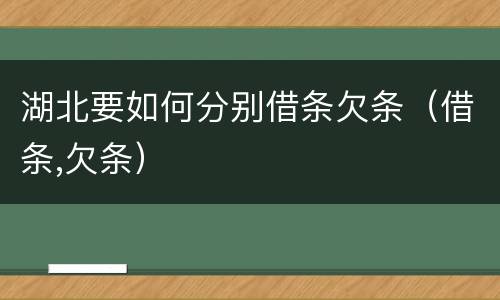 湖北要如何分别借条欠条（借条,欠条）