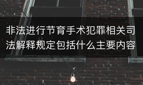 非法进行节育手术犯罪相关司法解释规定包括什么主要内容
