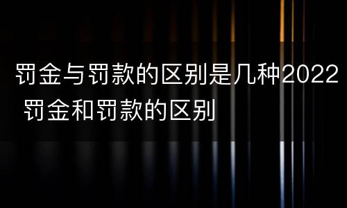 罚金与罚款的区别是几种2022 罚金和罚款的区别