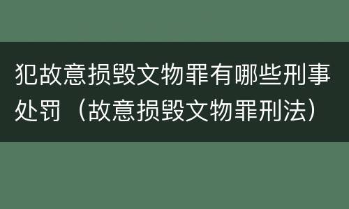 犯故意损毁文物罪有哪些刑事处罚（故意损毁文物罪刑法）