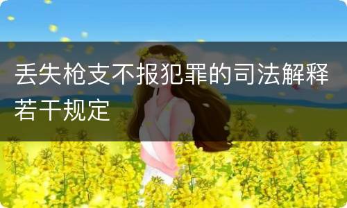 丢失枪支不报犯罪的司法解释若干规定