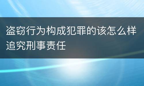 盗窃行为构成犯罪的该怎么样追究刑事责任