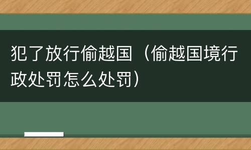 犯了放行偷越国（偷越国境行政处罚怎么处罚）