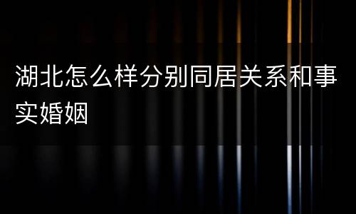 湖北怎么样分别同居关系和事实婚姻