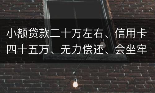 小额贷款二十万左右、信用卡四十五万、无力偿还、会坐牢