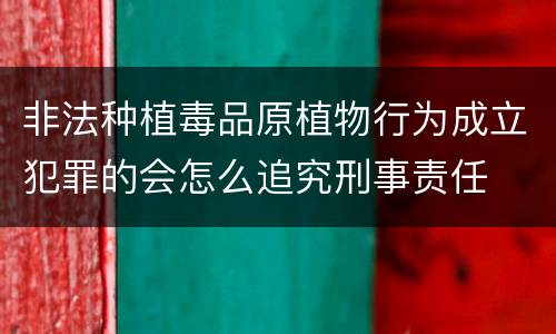 非法种植毒品原植物行为成立犯罪的会怎么追究刑事责任