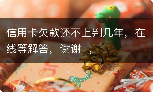信用卡欠款还不上判几年，在线等解答，谢谢  ，