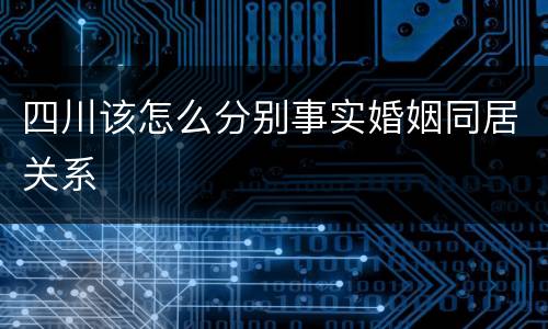四川该怎么分别事实婚姻同居关系