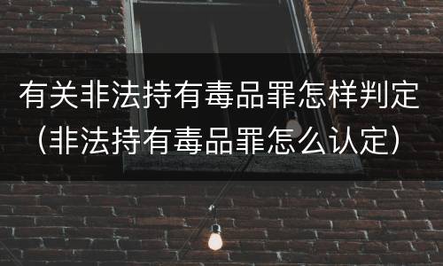 有关非法持有毒品罪怎样判定（非法持有毒品罪怎么认定）