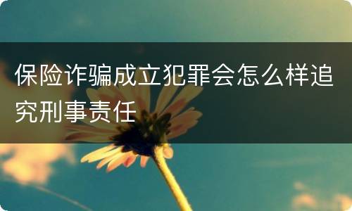 保险诈骗成立犯罪会怎么样追究刑事责任