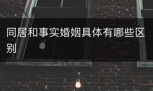 同居和事实婚姻具体有哪些区别