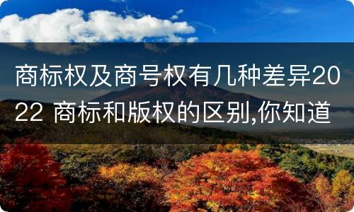 商标权及商号权有几种差异2022 商标和版权的区别,你知道多少?