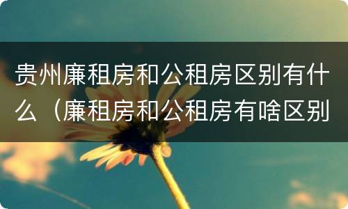 贵州廉租房和公租房区别有什么（廉租房和公租房有啥区别）