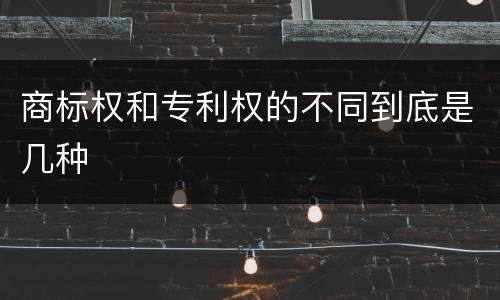 商标权和专利权的不同到底是几种