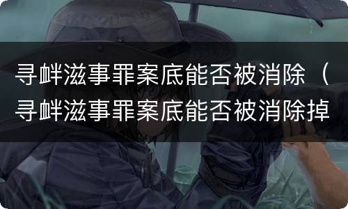 寻衅滋事罪案底能否被消除（寻衅滋事罪案底能否被消除掉）